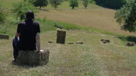 Man looks at a field of Small Square Bales, watching Stock Footage 337797653
