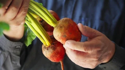 Man looks over fresh beets Stock Footage 83517516