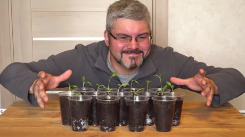 A man looks at seedlings 4K Stock Footage 274402353