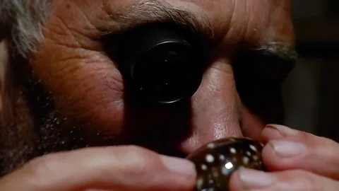 A man looks at the shells. Video stock 122371195