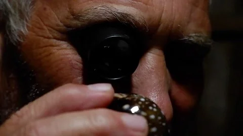 A man looks at the shells. Video stock 122371279