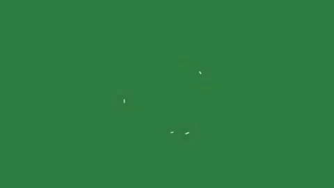 Man Looping On Green Screen Chroma Key Background Stock Footage 338014503