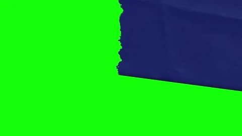 Man Looping Isolated Green Screen Stock Video Stock Footage 346204432
