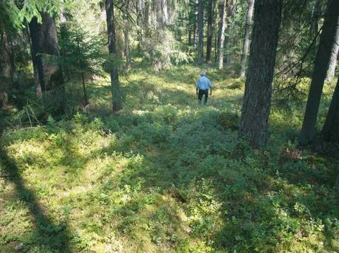 Man lost in forest 写真素材