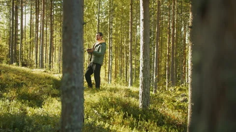 Man lost in pine forest using mobile phone to search for coverage Stock Footage 285887485
