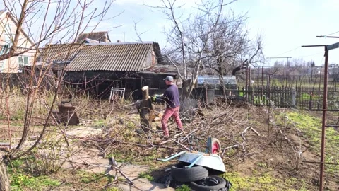 A man lumberjack is sawing a tree with a chainsaw. The sawdust is thrown straigh Video stock 152234966