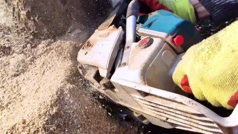 A man lumberjack is sawing a tree with a chainsaw. The sawdust is thrown straigh Video stock 152235119