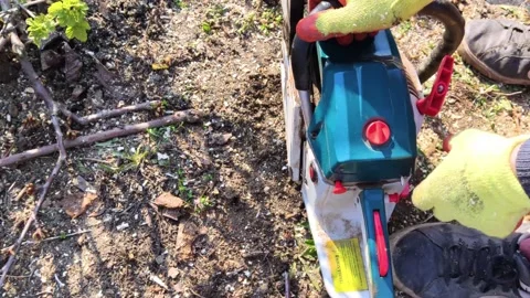 A man lumberjack is sawing a tree with a chainsaw. The sawdust is thrown straigh Video stock 152235201