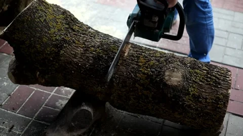 A man Lumberjack working with chainsaw and sawing a tree trunk. Stock Footage 154415106