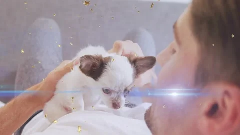 Man lying bed petting dog making puppy blinking settling for pet care with gold Stock Footage 331634367