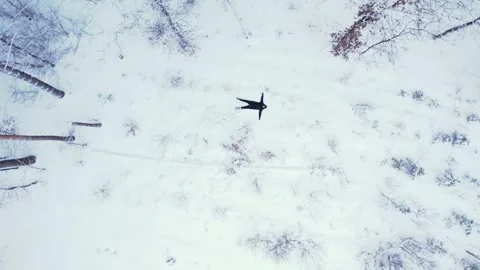 Man lying down making snow angel, top view Aerial view beautiful snowy winter Stock Footage 280944072