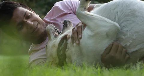 Man lying on the grass and pampering his dog with hugs and kisses. 	 Stock Footage 128749557