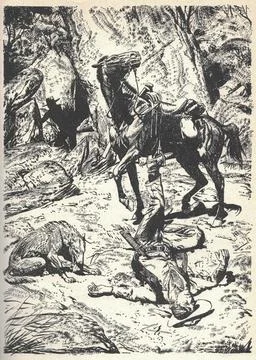Man lying on the ground after falling from a horse.  Old black and white il.. Illustrazione stock