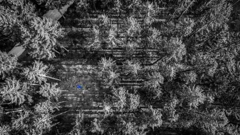 A man is lying in the middle of a forest, black and white color key of a nature Stock Photos