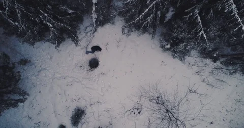 A man lying in the snow, aerial Stock Footage 104497285