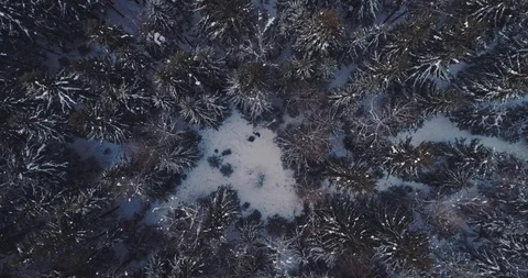 A man lying in the snow, aerial Stock Footage 104497422
