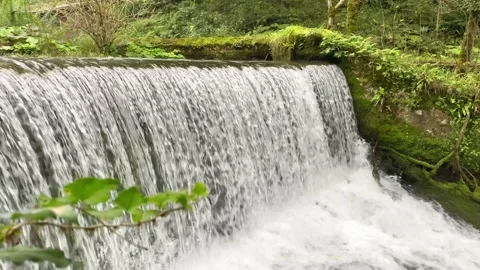 Man-made artificial waterfall in the forest Stock Footage 220791983