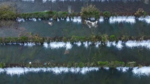 Man made beautiful large waterfall with many stairs. Stock Footage 234442013