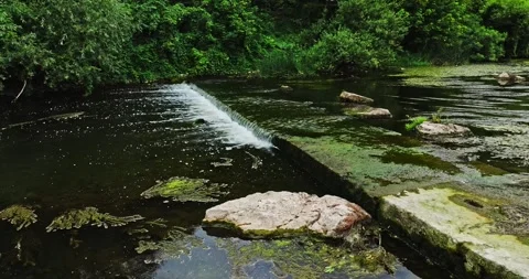 Man Made Concrete Step To Decrease River Speed Prevent Overflow Green Algae Zoom 库存影片 300444764