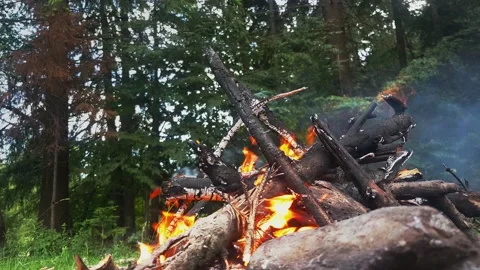Man made fire in the forest Video stock 135119587