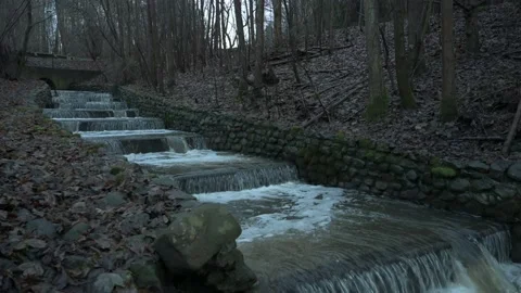 Man made fish ladder in the streaming water of a creek in the woodland Video stock 230521827