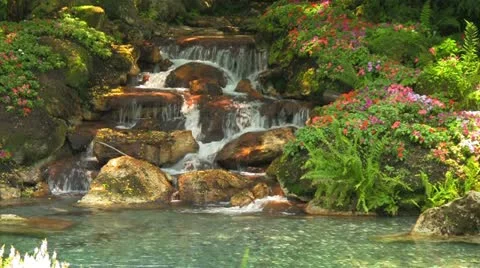 Man-made Garden Waterfall with Flowers Flowing into Pond Stock Footage 18095046
