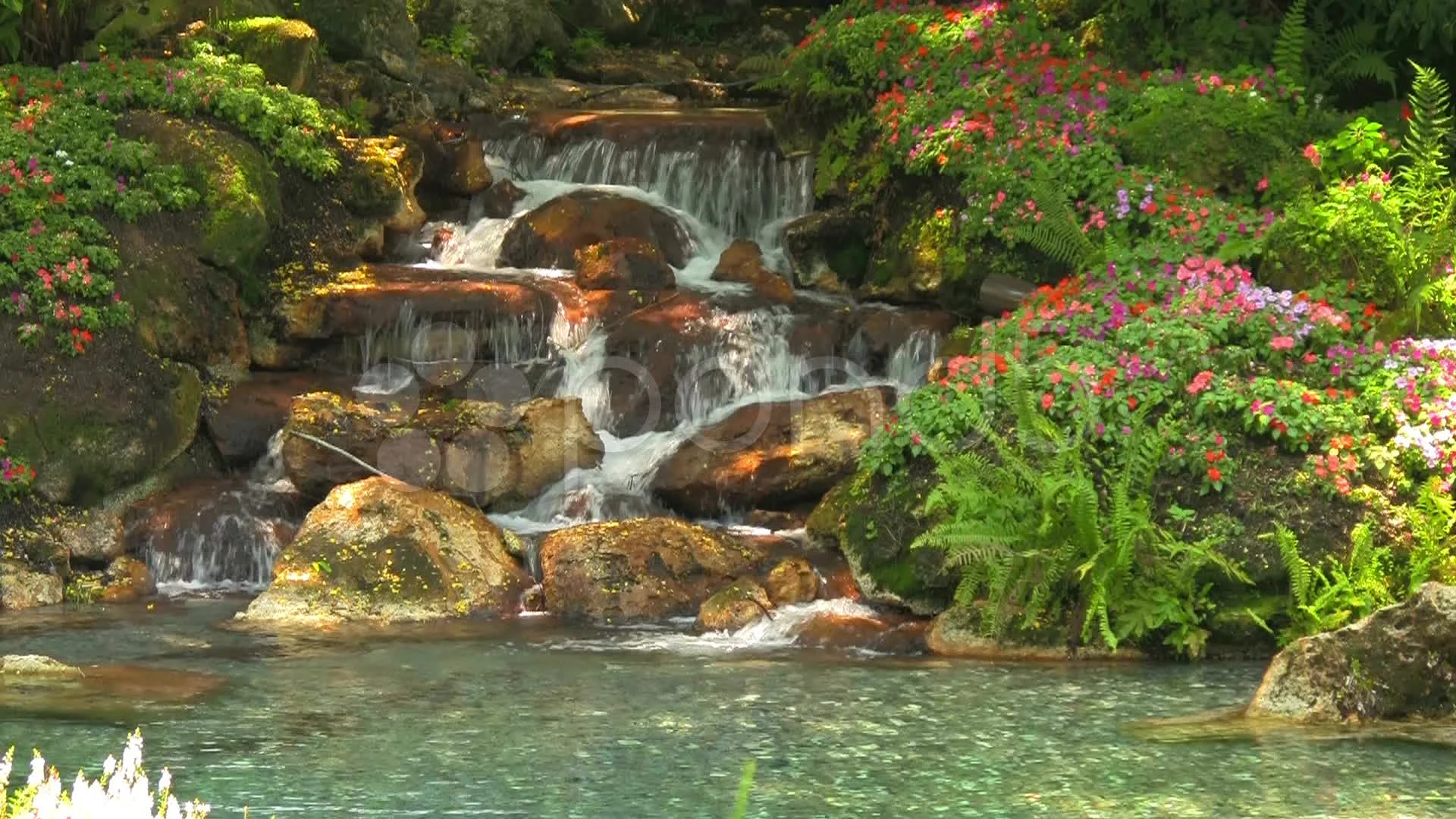 beautiful flower gardens waterfalls