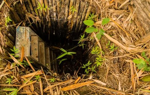 Man made hole in ground lined with bamboo Stock Photos