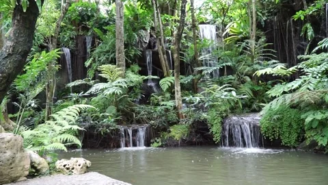 Man made rainforest waterfall. Stock Footage 138403184