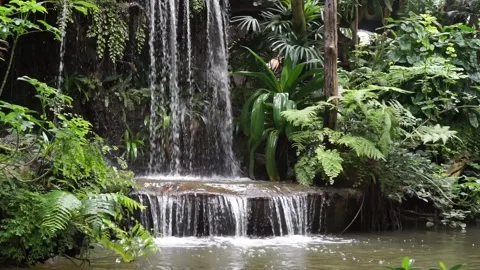 Man made rainforest waterfall. Stock Footage 138403185