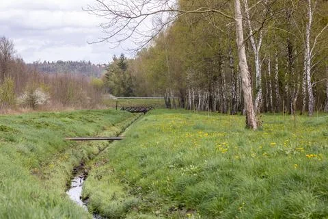 Man-Made Stream at Forest's Edge in Park Stock Photos