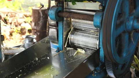 Man make sugarcane sap. Sugar cane bagasse maker. Traditional juice production. Stock Footage 237919982