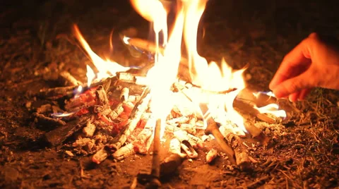 Man Makes Campfire at Night HD Stock Footage 35782898