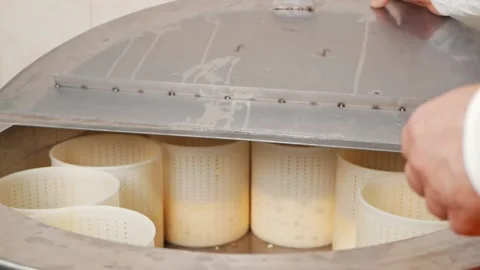 Man makes cheese, turns it over, takes it out of forms, production process Stock Footage 210149327