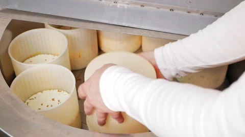 Man makes cheese, turns it over, takes it out of forms, production process Stock Footage 210149390