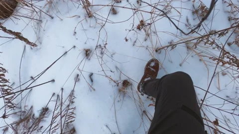 A man makes his way through deep snow in the forest 1 Stock Footage 149951181