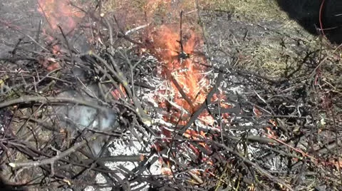 A man making a bonfire Stock Footage 22741628