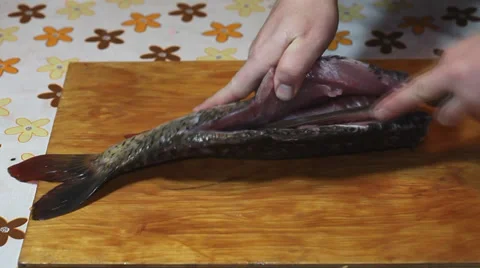 Man making carp fillet Stock Footage 36005426