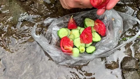Man making cucumber and tomato salad in nature Stock Footage 151200137