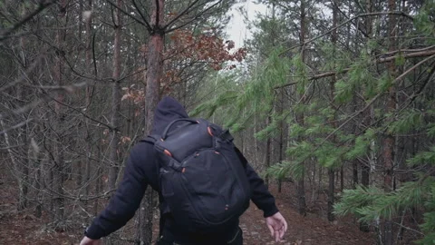 Man making his way through the forest Stock-Footage 231714852