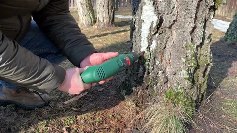 Man making a hole drilling a tree. Stock Footage 150350471