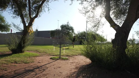 A man making a tee in disk golf Stock Footage 246826370