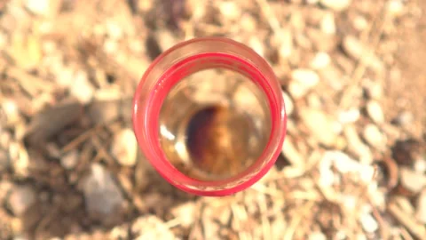 A man making Turkish coffee  on a camping stove outdoor Stock Footage 139496669