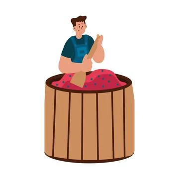 Man making wine from fruit vector illustration. Grape winery cartoon harvesti Stock Illustration