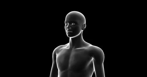 Man, Male 3D Model, Seamless Loop, Transparent with Alpha Video stock 124256407