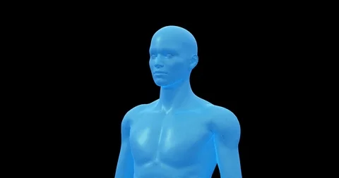 Man, Male 3D Wireframe Model, Seamless Loop with Alpha Video stock 124257053