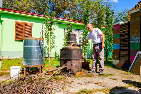 Man is manually mixing fruit marc in distillation apparatus for making domest Stock Photos