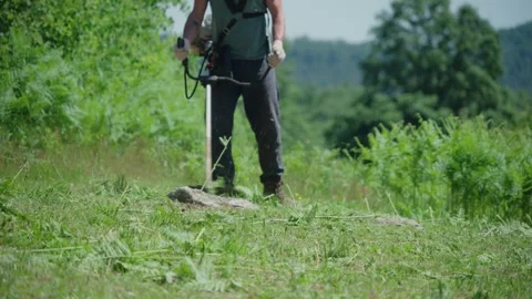 Man manually moving weeds from his plot of land at day time Stock Footage 328394753