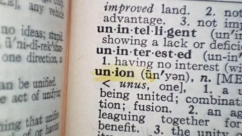 A man marks the word union definition on a printed page with a marker pen Stock Footage 297283040