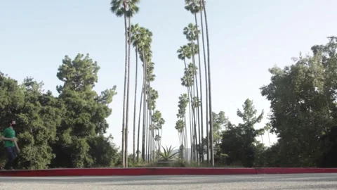 Man with Mask, Walks by Palm Trees Stock Footage 134739232